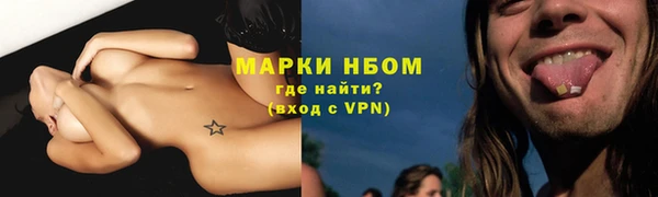PSILOCYBIN Кинешма