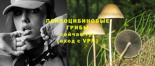 гидра Медногорск