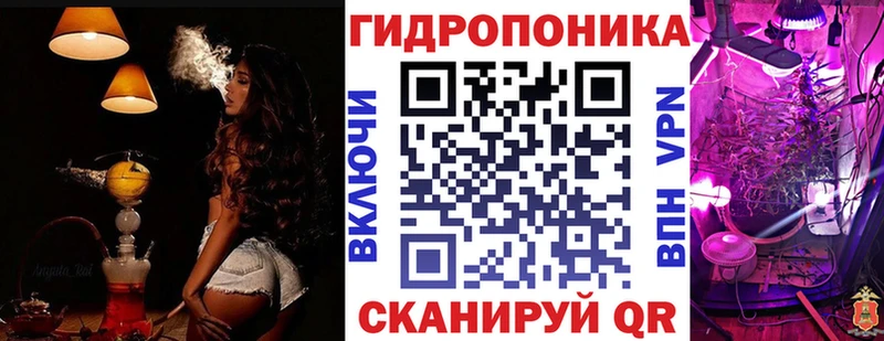 купить наркоту  Грозный  Бошки марихуана тримм 
